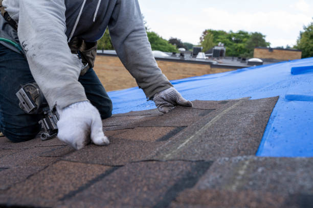 Roof Gutter Cleaning in Bluffton, SC